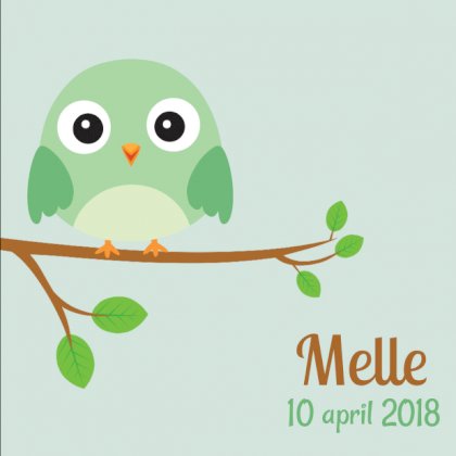 Gevouwen kaart "Groen vogeltje op takje"