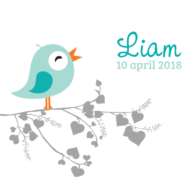 Kaartje "Blauw vogeltje & Hartjes tak" Kaartje "Blauw vogeltje & Hartjes tak"