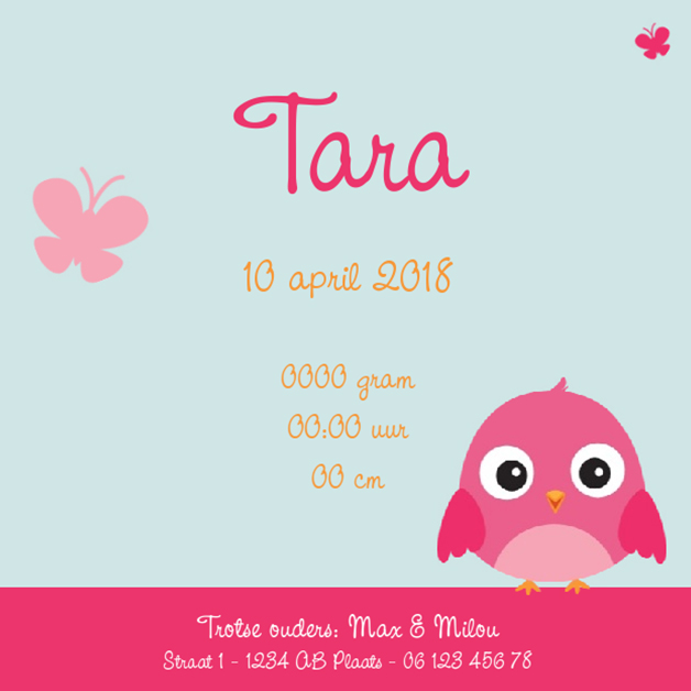 Kaartje "Roze vogeltje & Takje" Kaartje "Roze vogeltje & Takje"