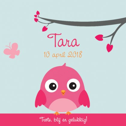 Kaartje "Roze vogeltje & Takje"