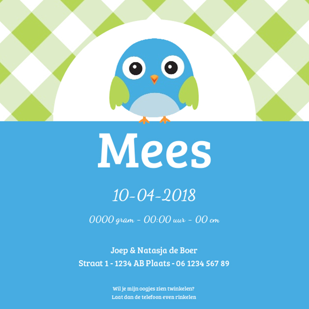 Kaartje "Blauw vogeltje & Groene ruitjes" Kaartje "Blauw vogeltje & Groene ruitjes"