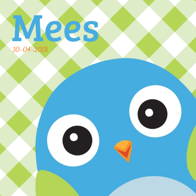 Kaartje "Blauw vogeltje & Groene ruitjes" Kaartje "Blauw vogeltje & Groene ruitjes"