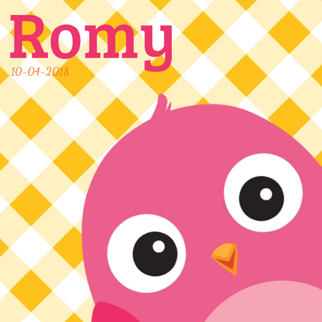 Kaartje "Roze vogeltje & Oranje ruitjes" Kaartje "Roze vogeltje & Oranje ruitjes"