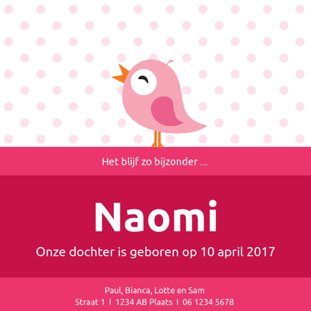 Kaartje "Roze vogeltje & Hout" Kaartje "Roze vogeltje & Hout"