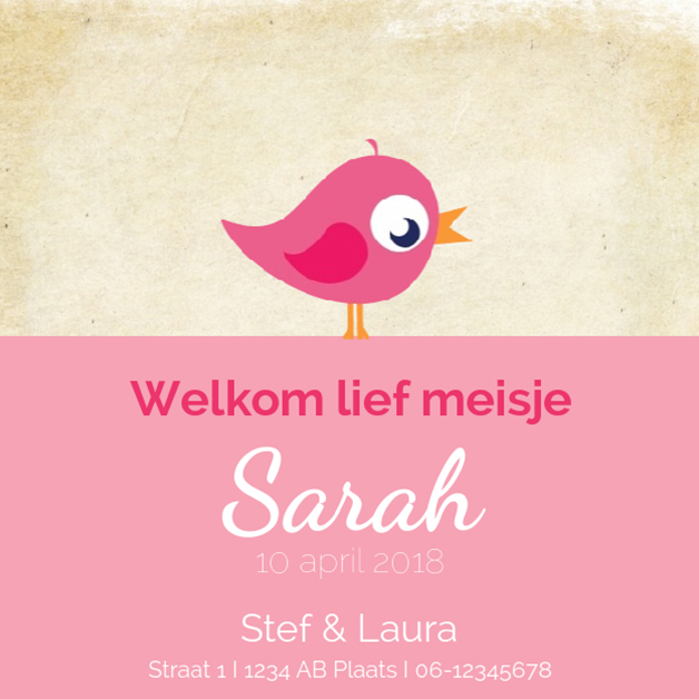 Kaartje "Roze vogeltje & Rondje" Kaartje "Roze vogeltje & Rondje"