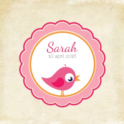 Kaartje "Roze vogeltje & Rondje"