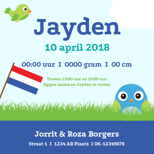 Kaartje "Blauw vogeltje & Vlag" Kaartje "Blauw vogeltje & Vlag"