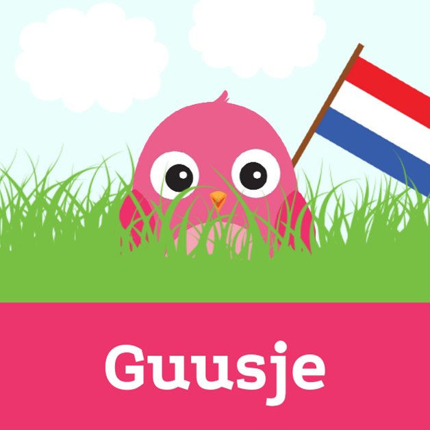 Kaartje "Roze vogeltje & Vlag" Kaartje "Roze vogeltje & Vlag"