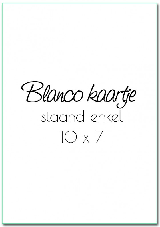 Kaartje "Blanco 100x70 mm staand"