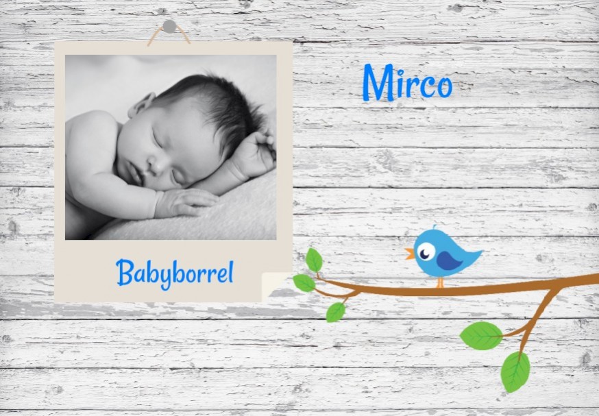 Inlegkaartje "Foto & Blauw vogeltje" Inlegkaartje "Foto & Blauw vogeltje"