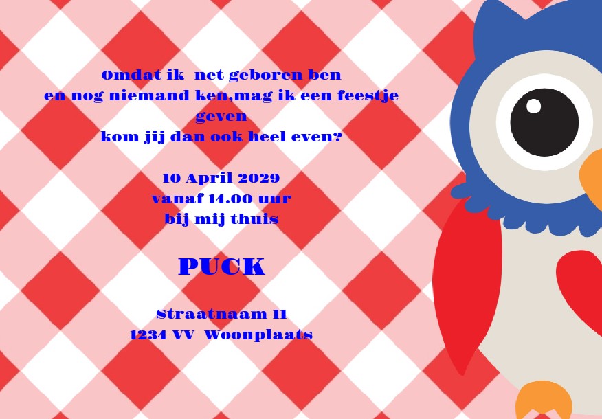 Inlegkaartje "Kraamborrel & Uiltje" Inlegkaartje "Kraamborrel & Uiltje"