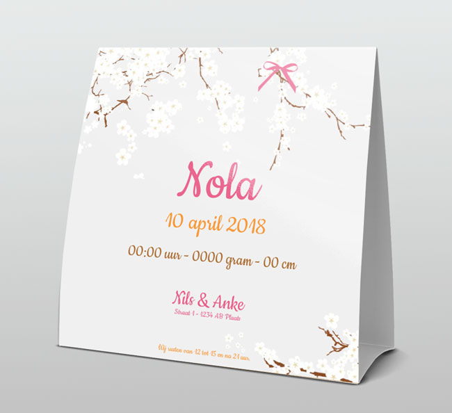 Tentkaart "Foto & Bloesem" Tentkaart "Foto & Bloesem"