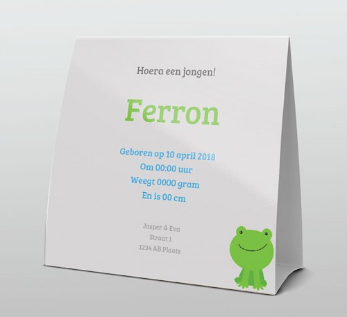 Tentkaart "Foto & Kikker" Tentkaart "Foto & Kikker"