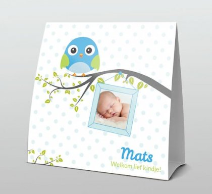 Tentkaart "Foto & Blauw vogeltje op takje" Tentkaart "Foto & Blauw vogeltje op takje"