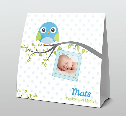 Tentkaart "Foto & Blauw vogeltje op takje" Tentkaart "Foto & Blauw vogeltje op takje"