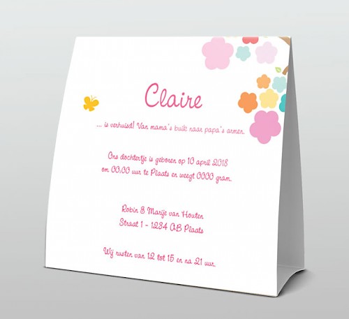 Tentkaart "Foto & Roze vogeltje op kleurrijke tak" Tentkaart "Foto & Roze vogeltje op kleurrijke tak"