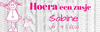 Banner "Hoera een zusje"