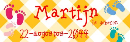 Banner "Uiltjes met vlaggetjes"