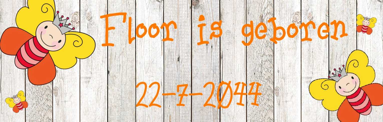 Banner "Kleurige vlinders" Banner "Kleurige vlinders"