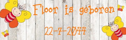 Banner "Kleurige vlinders"