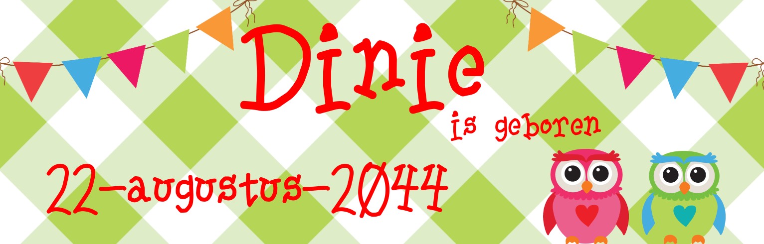 Banner met uiltjes Banner met uiltjes