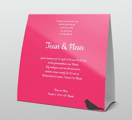 Tentkaart "Fotokaart vaantje" Tentkaart "Fotokaart vaantje"