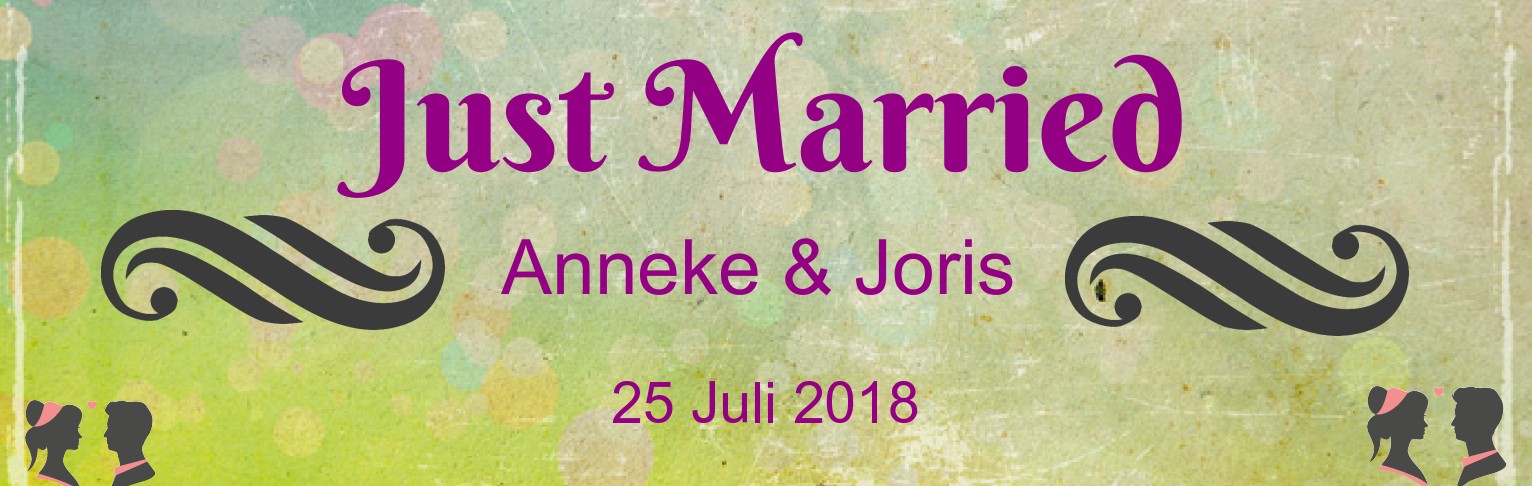 Banner "Just Married"