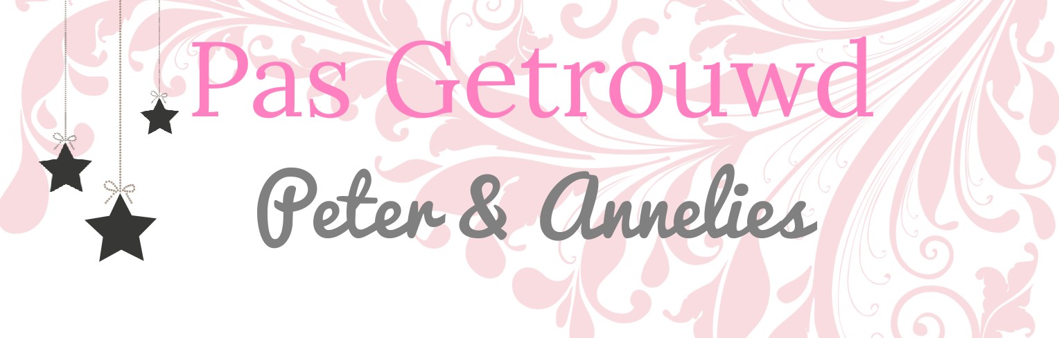 Banner "Pas getrouwd" met sterretjes Banner "Pas getrouwd" met sterretjes