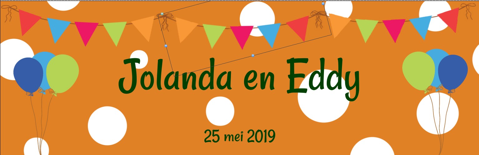 Banner "Feest" Banner "Feest"