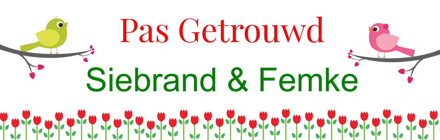 Vrolijke banner "pas getrouwd" Vrolijke banner "pas getrouwd"