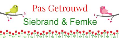 Vrolijke banner "pas getrouwd"
