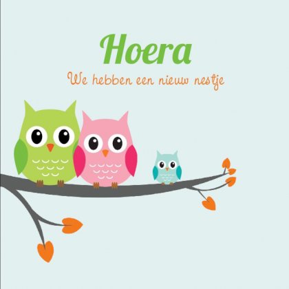 Gevouwen verhuiskaart "Uiltje op tak" Gevouwen verhuiskaart "Uiltje op tak"