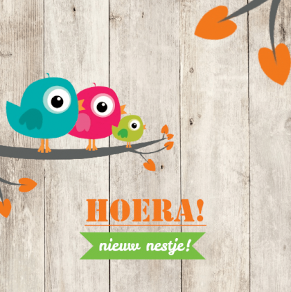 Verhuiskaart "Vogeltjes steigerhout"