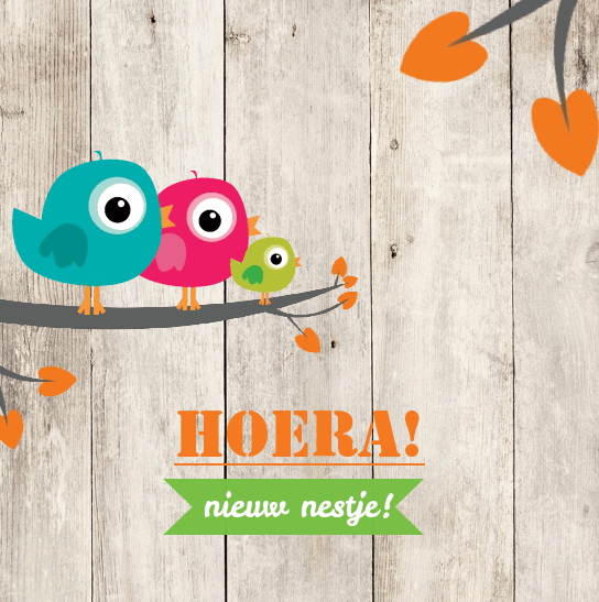 Verhuiskaart "Vogeltjes steigerhout" Verhuiskaart "Vogeltjes steigerhout"