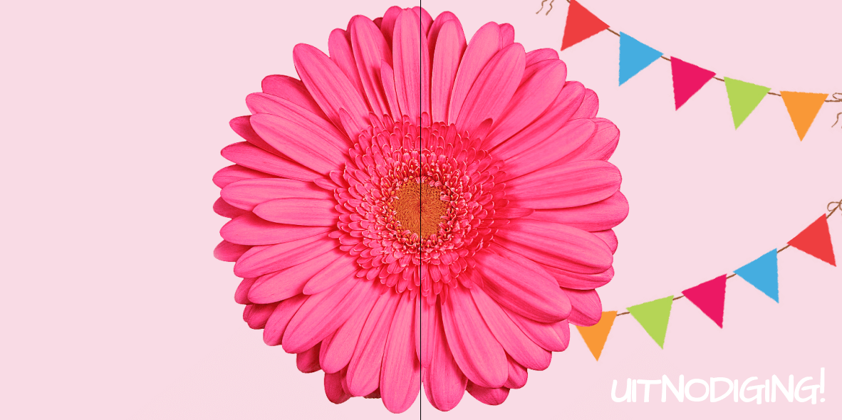 Gevouwen uitnodigingskaart "Roze bloem & vlaggetjes"