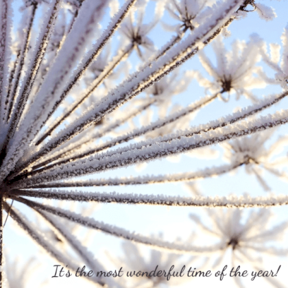 Kerstkaart "IJsbloem"