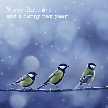 Kerstkaart "Koolmeesjes"