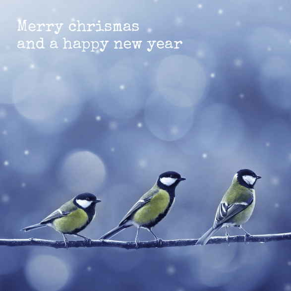 Kerstkaart "Koolmeesjes" Kerstkaart "Koolmeesjes"