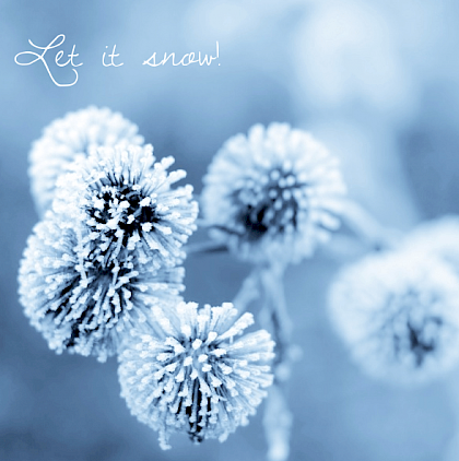 Kerstkaart "IJsbloemen"