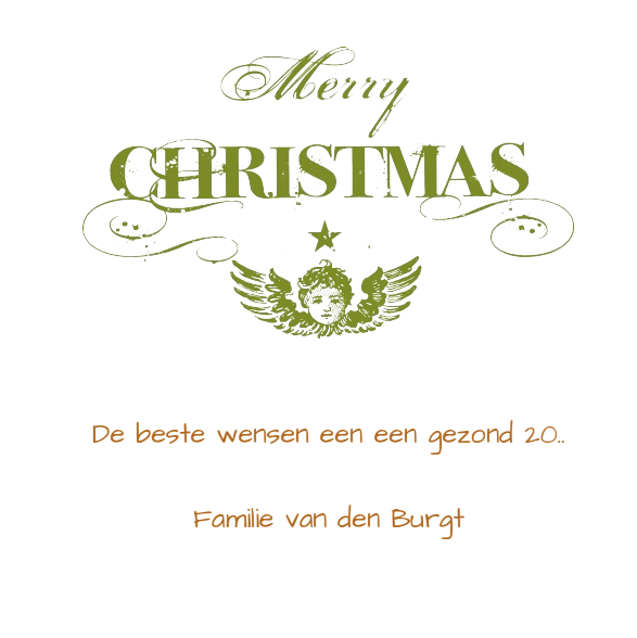 Kerstkaart "Dennenappels" Kerstkaart "Dennenappels"