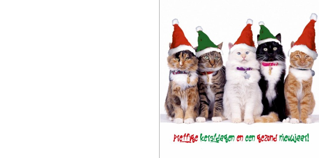 Gevouwen kerstkaart "Poezen" Gevouwen kerstkaart "Poezen"