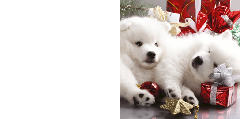 Gevouwen kerstkaart "Foto & Hondjes" Gevouwen kerstkaart "Foto & Hondjes"