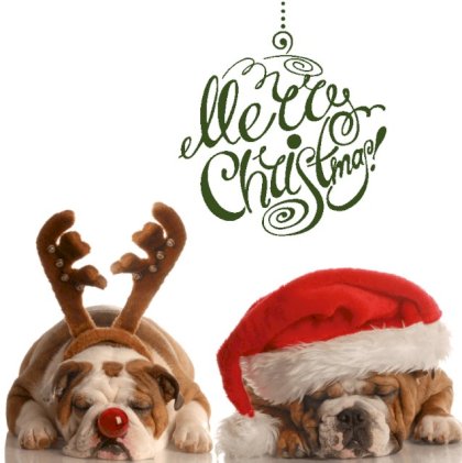 Gevouwen kerstkaart "Foto & Bulldog"