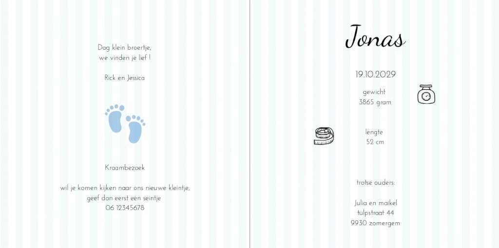 Gevouwen kaart "Blauwe muisjes" Gevouwen kaart "Blauwe muisjes"