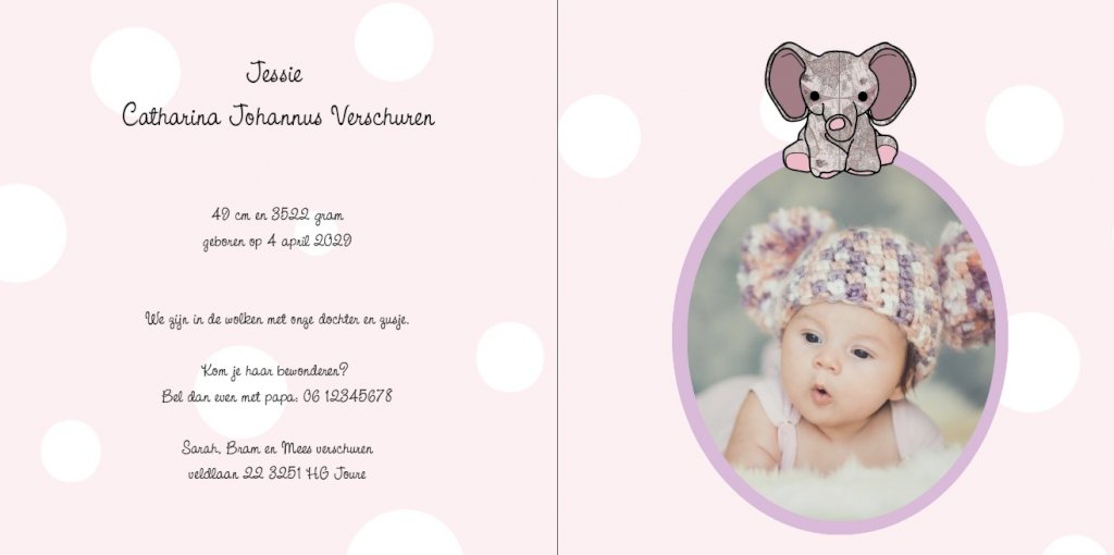 Gevouwen kaart "Roze kinderwagen met olifantje" Gevouwen kaart "Roze kinderwagen met olifantje"